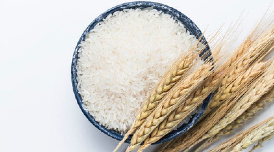 با جایگزین های سالم برنج آشنا شوید