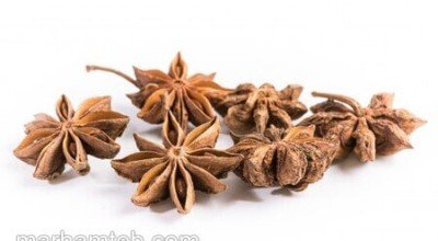 همه چیز درباره بادیان ستاره ای