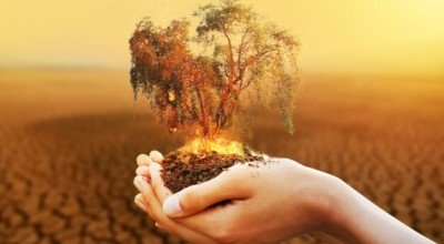 تغذیه مناسب برای افراد با مزاج گرم و خشک