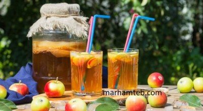 نوشیدنی کامبوجا چیست؟ فواید مهم کامبوچا را بهتر بشناسیم