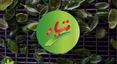 هر آنچه درباره سبزیجات خشک تیار باید بدانید