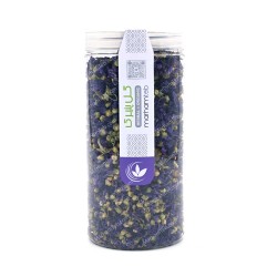 گل پنیرک گل پنیرک