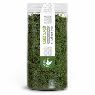 سبزی شوید مرهم طب