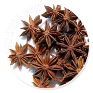 بادیان ستاره ای بادیان ستاره ای