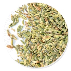 رازیانه (بادیان) رازیانه (بادیان)