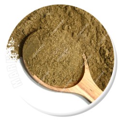 زیره سبز زیره سبز