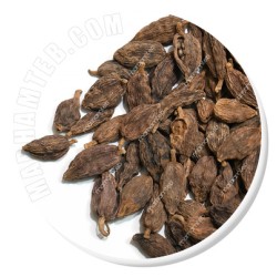 هل باد (قاقله کبار) هل باد (قاقله کبار)