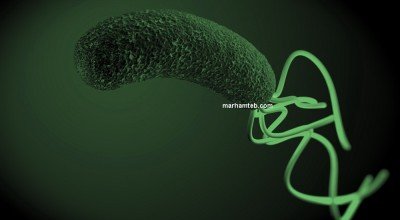 همه چیز درباره هلیکوباکترپیلوری