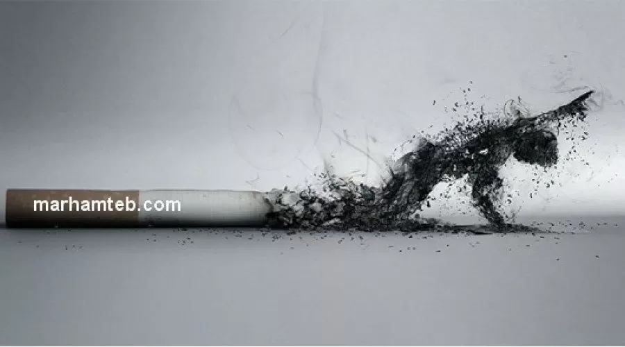40 حقیقت درباره سیگار