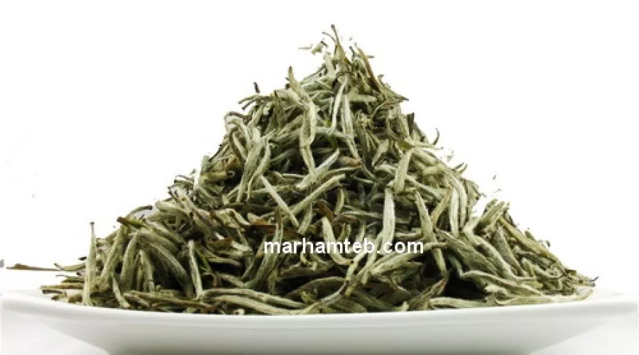 چای سفید را بهتر بشناسیم