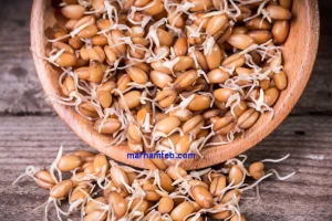 جوانه گندم و خواص بی نظیر آن را بهتر بشناسیم