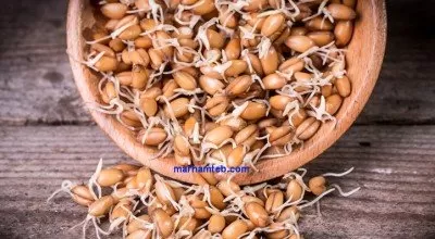 جوانه گندم و خواص بی نظیر آن را بهتر بشناسیم