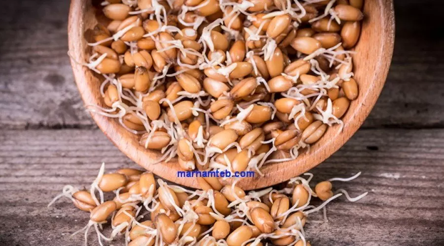 جوانه گندم و خواص بی نظیر آن را بهتر بشناسیم