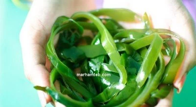 معجزه جلبک های دریایی
