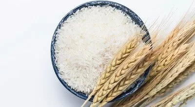 با جایگزین های سالم برنج آشنا شوید