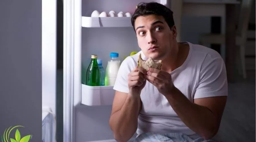 راه کار های طب سنتی برای کاهش اشتها