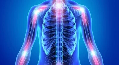 محصولات گیاهی ضد التهاب کدامند؟