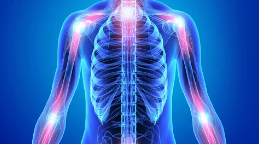 محصولات گیاهی ضد التهاب کدامند؟