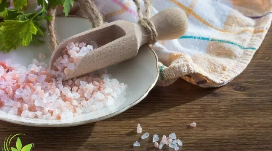 کاربرد نمک های معدنی در طب سنتی