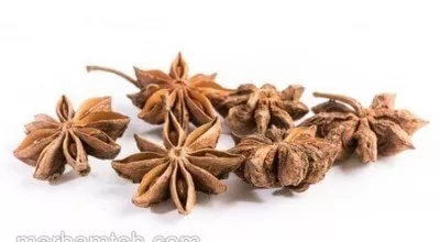 همه چیز درباره بادیان ستاره ای