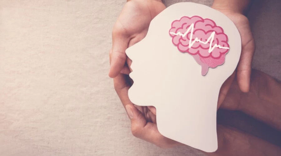 معجزه گیاهان برای پیشگیری از آلزایمر