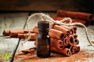 آشنایی با خواص روغن دارچین