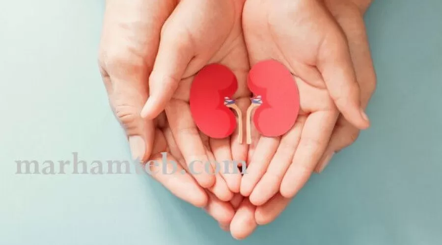 دلایل بالا بودن سطح کراتینین خون