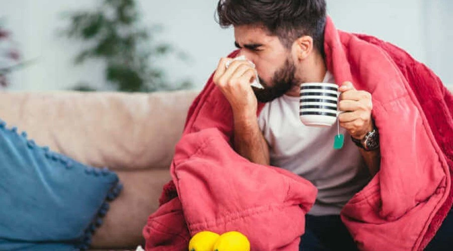 گیاهان دارویی تقویت کننده سیستم ایمنی در فصل سرماخوردگی