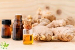 آشنایی با روغن زنجبیل و خواص شگفت انگیز آن