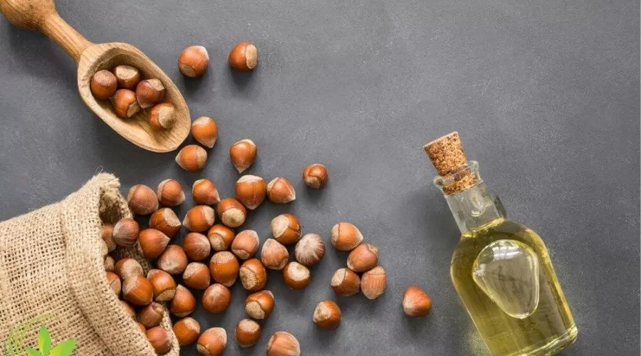 روغن فندق و خواص آن برای سلامتی