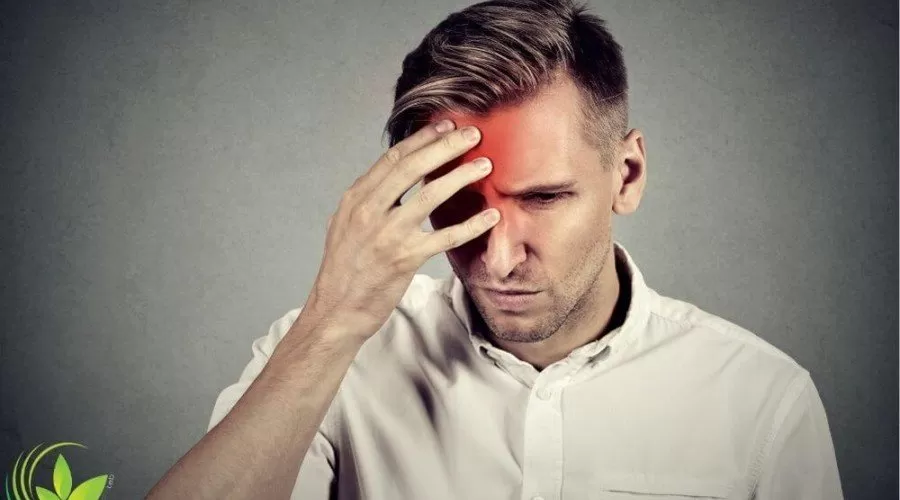 بهترین دمنوش های گیاهی برای تسکین سریع انواع سردرد