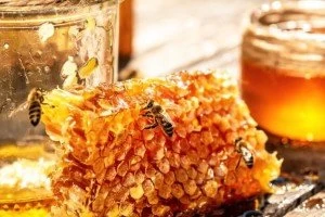 بررسی پارامتر های آزمایشگاهی مهم در تشخیص عسل طبیعی