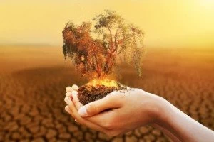 تغذیه مناسب برای افراد با مزاج گرم و خشک
