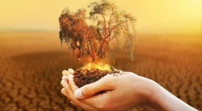 تغذیه مناسب برای افراد با مزاج گرم و خشک
