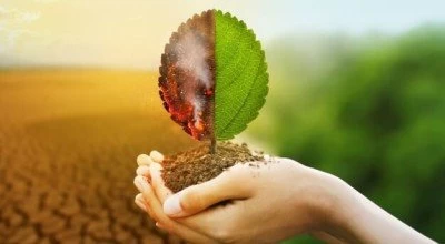 تغذیه مناسب برای افراد با مزاج گرم و تر