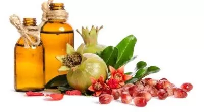 همه چیز درباره روغن هسته انار