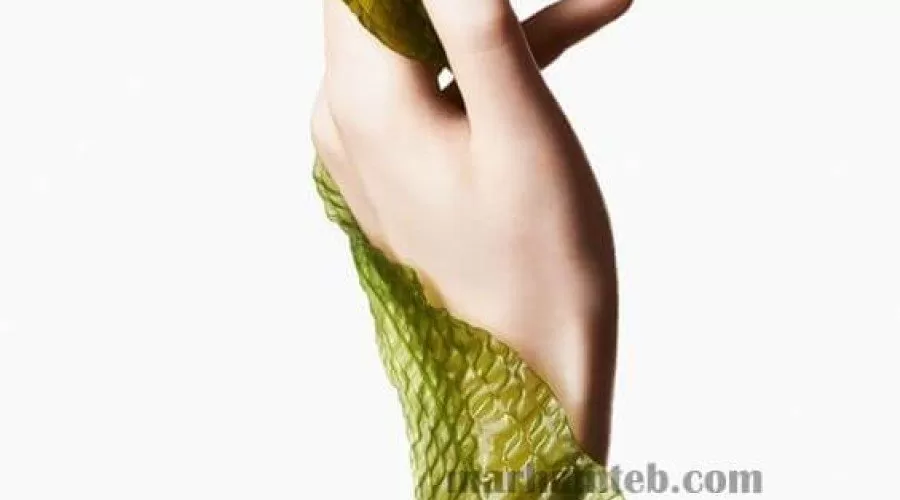 معجزه روغن جلبک دریایی برای پوست و لاغری