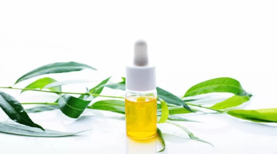 بررسی روغن درخت چای برای سلامت پوست