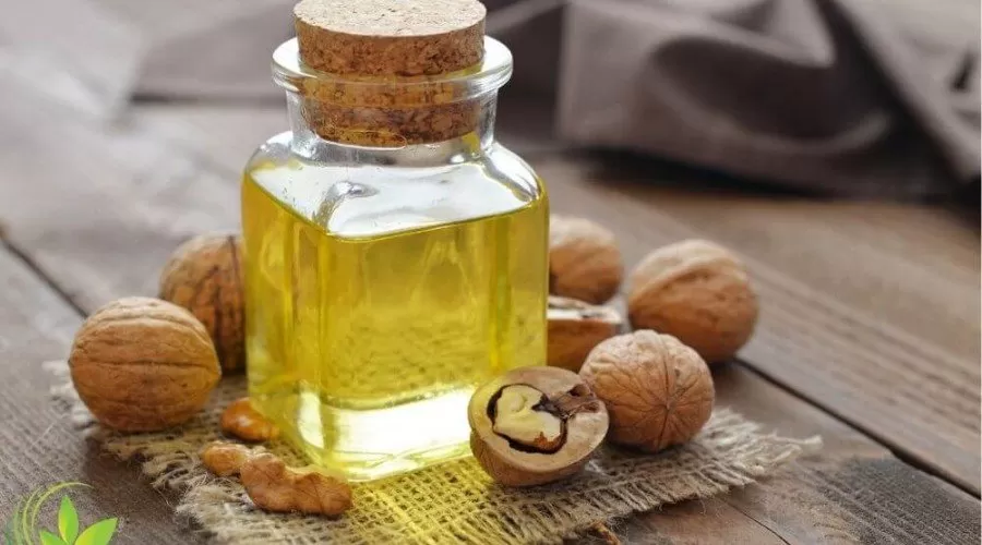آشنایی با خواص روغن گردو
