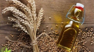 روغن جوانه گندم و فواید بی نظیر آن برای پوست و مو