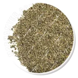انیسون (بادیان رومی)