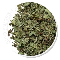 بادرنجبویه (ملیس)