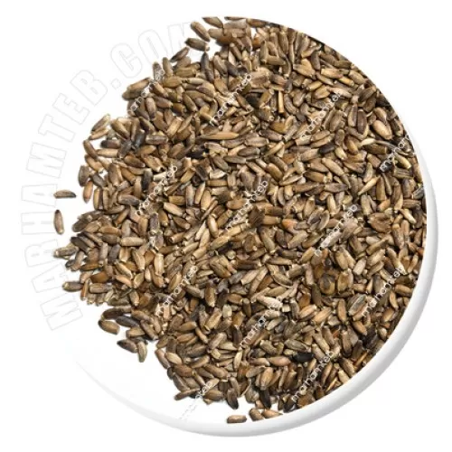 خار مریم (ماریتیغال)
