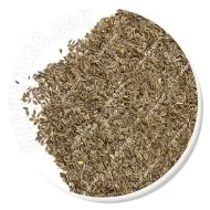 تخم شوید