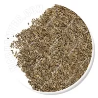 تخم شوید