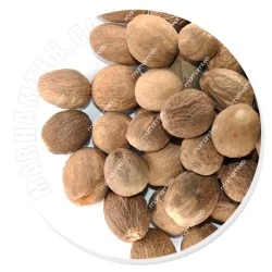 جوز هندی
