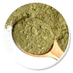 سدر