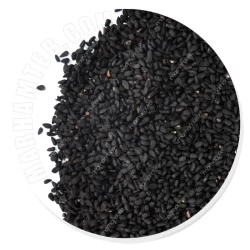 سیاه دانه