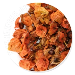 عروسک پشت پرده