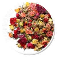 غنچه گل نسترن